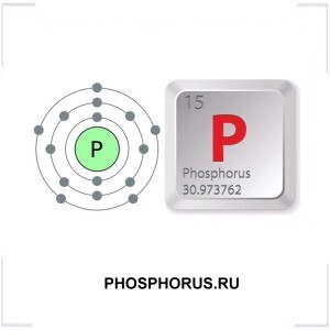 PHOSPHORUS.RU