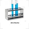 sochi.bioscorp.ru